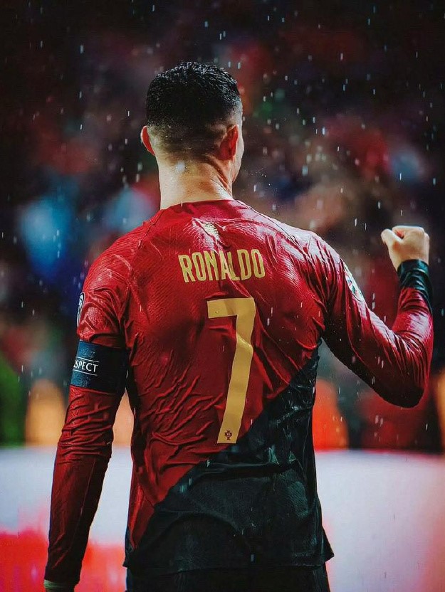 葡萄牙队完胜日本队，波尔状态火热