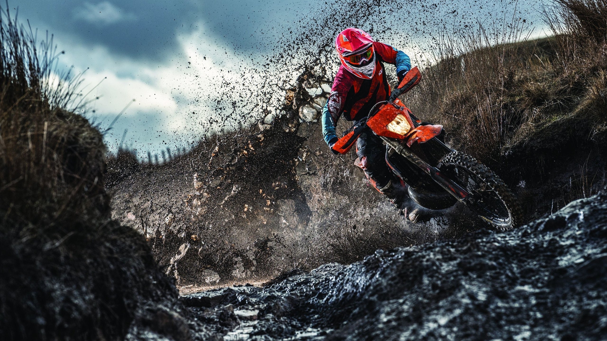 世界杯之夜，阿劳霍关键战不手软，乌拉圭掀翻北美东道主